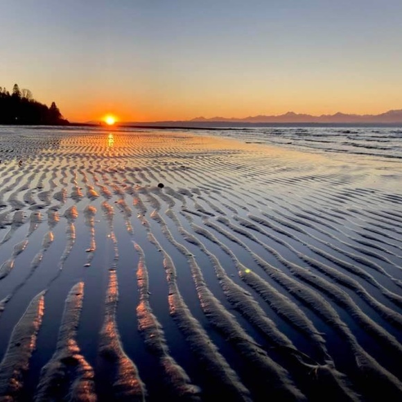 Meet your Posher, Phoenix B - Picture 1 of 1